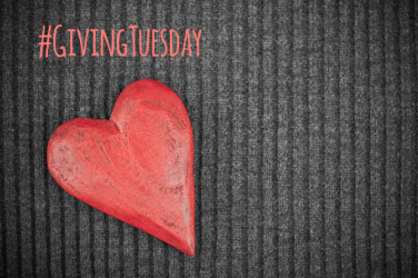 Measuring GivingTuesday 2024