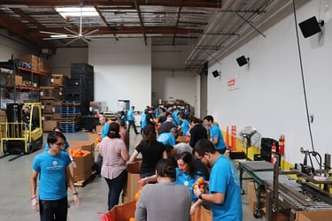 San Diego Food Bank Achieves 60% Growth with VolunteerHub