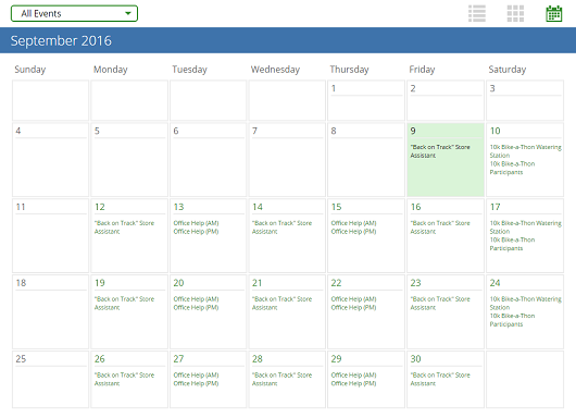 VolunteerHub's user interface calendar view