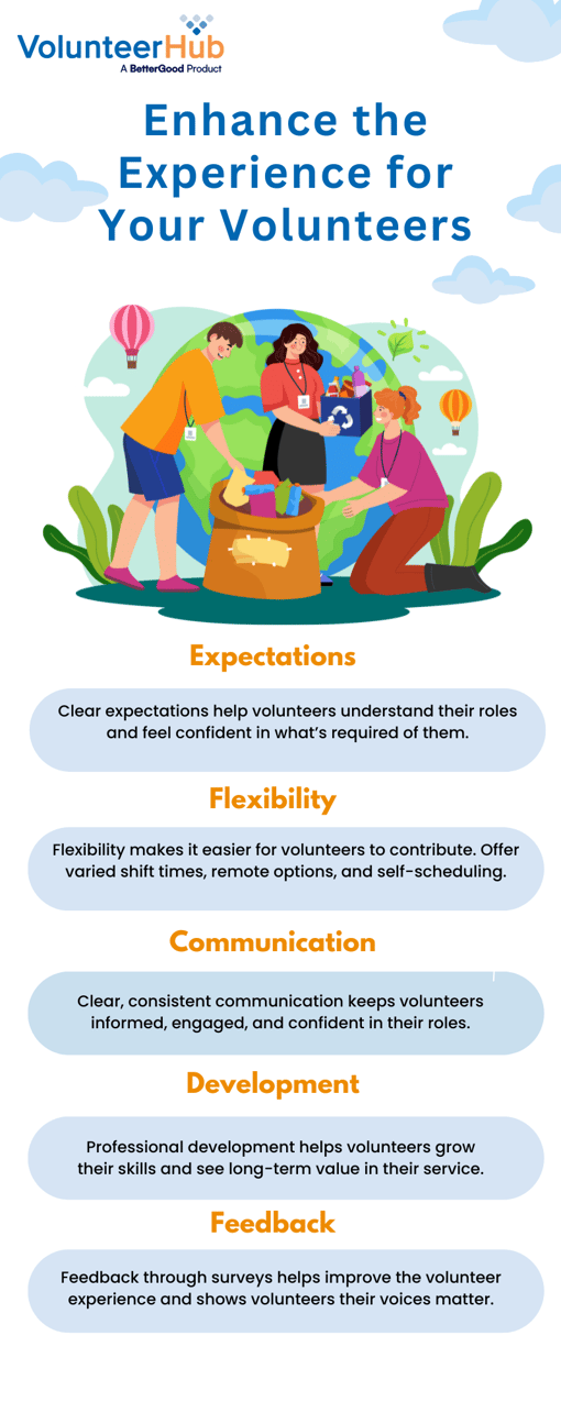Volunteer Experience Infographic