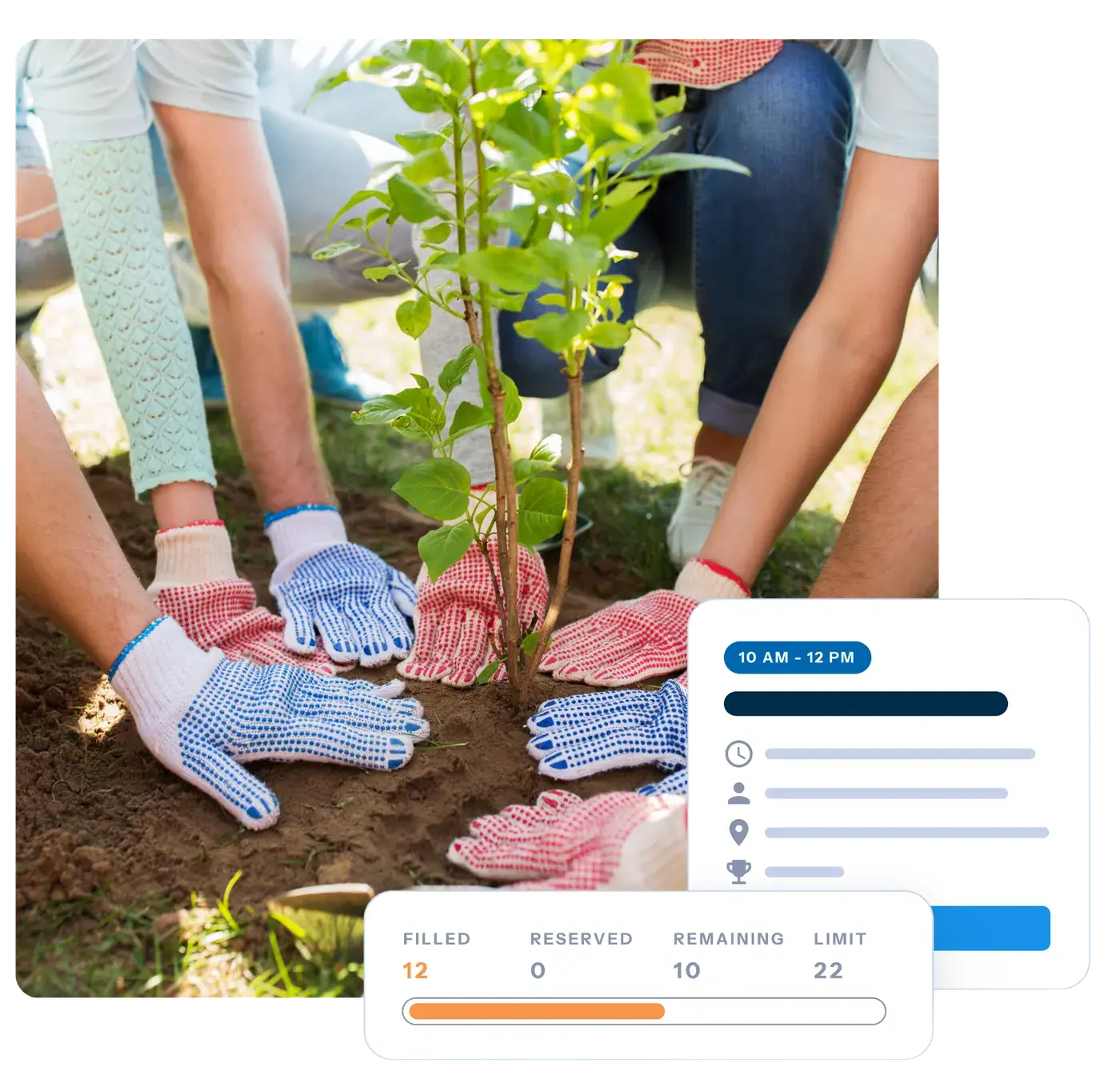 Volunteers Planting a Tree