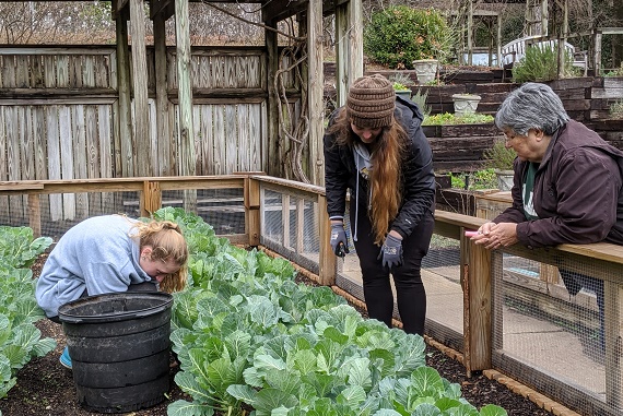 Friends of Birmingham Botanical Gardens