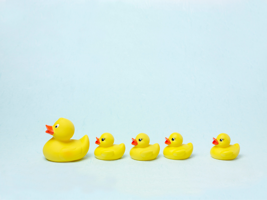 yellow ducks in a row