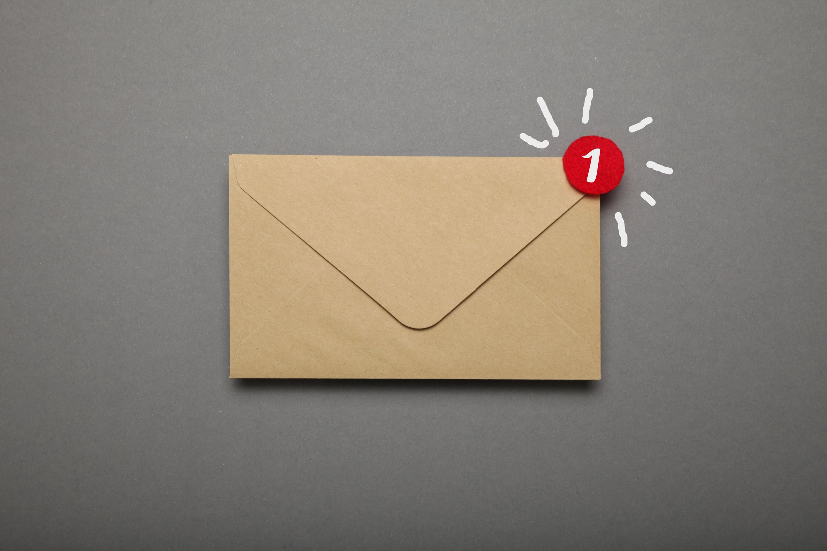 Volunteer Newsletter