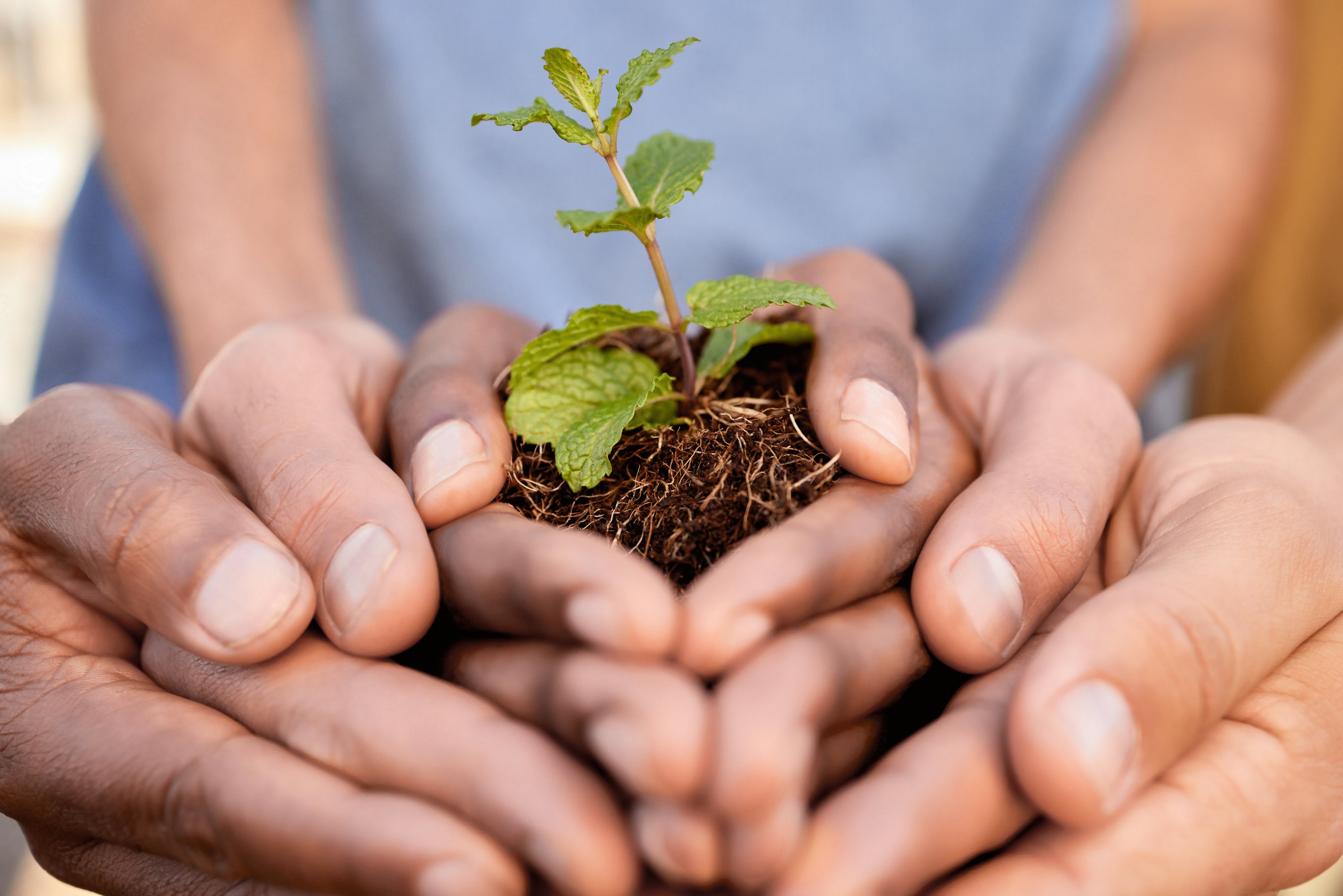 Volunteer to Donor Conversion